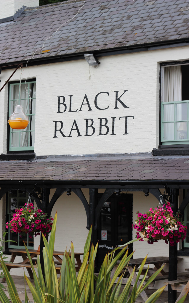 Arundel Black_Rabbit