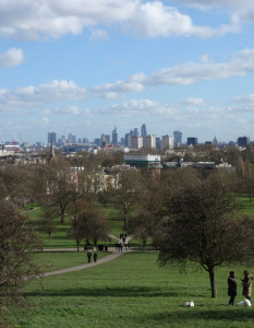 Primrose Hill London View