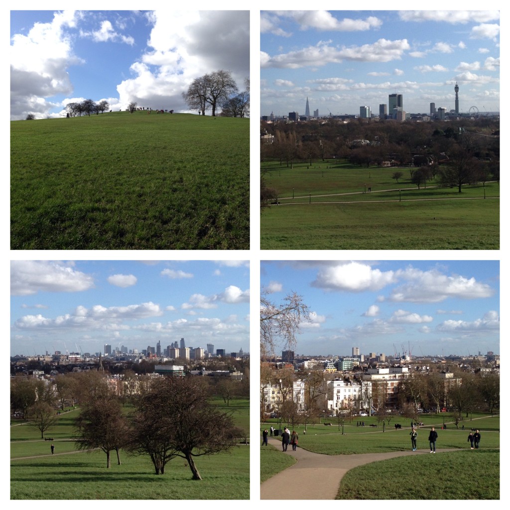 Primrose Hill London