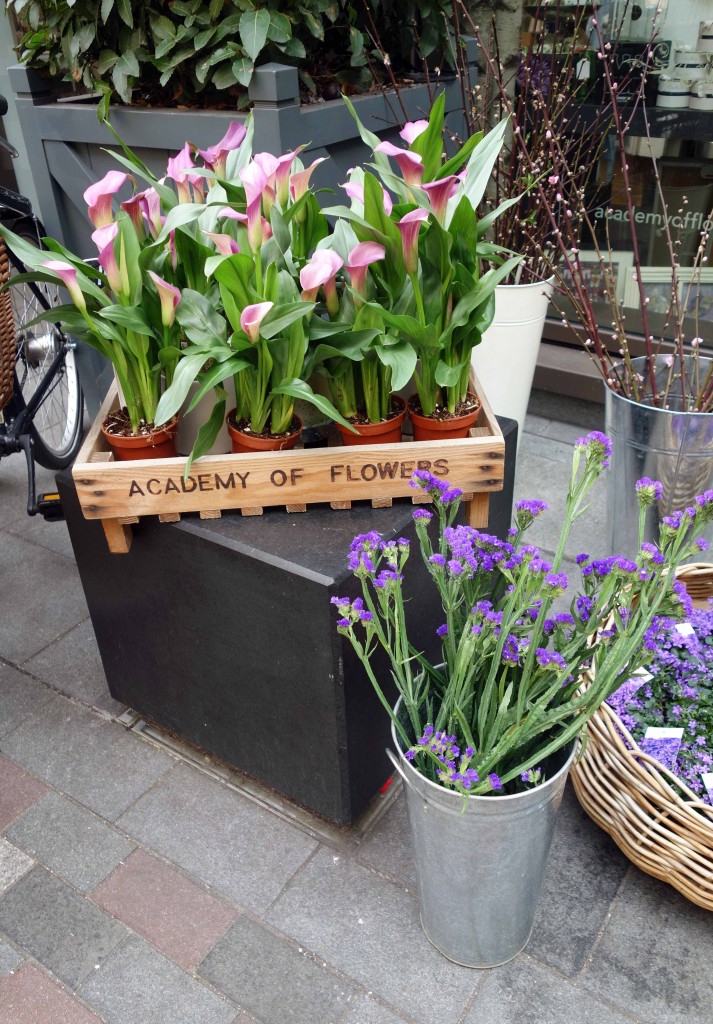 Covent Garden Academy of Flowers