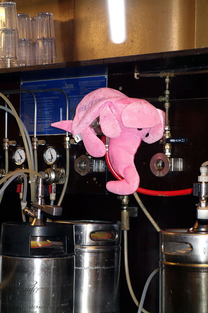 Delirium-beer-brussels-cafe-elephant