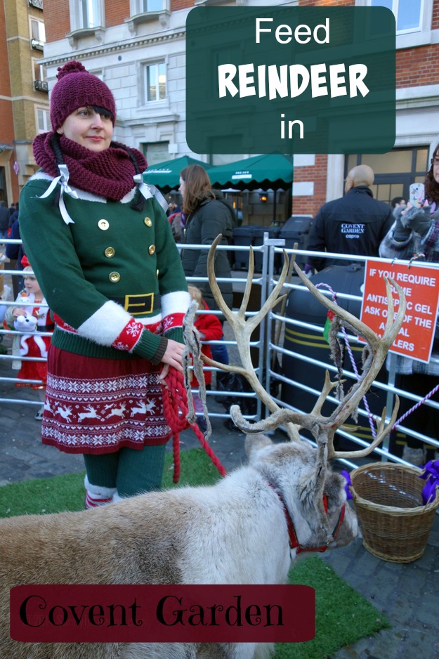 Things to Do in Covent Garden for Christmas- Feed the Reindeer