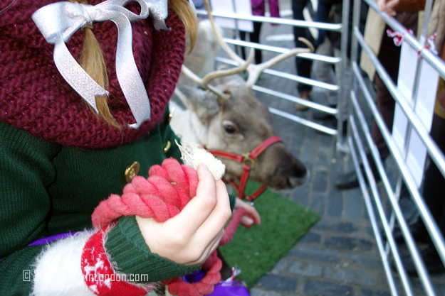 Things to Do in Covent Garden London, Pet the Reindeer!