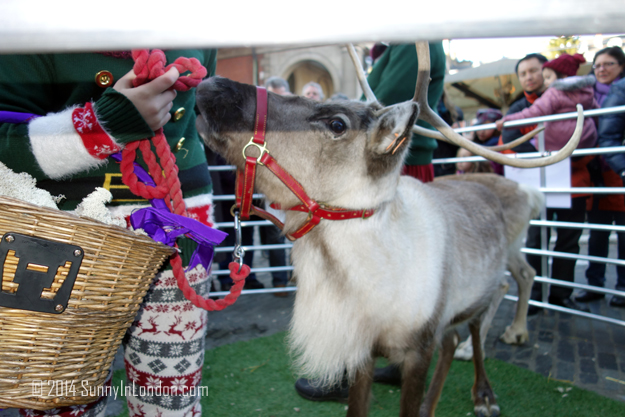 Things to Do in Covent Garden London, Pet the Reindeer!