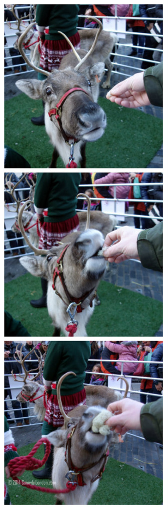 Things to Do in Covent Garden London, Pet the Reindeer!