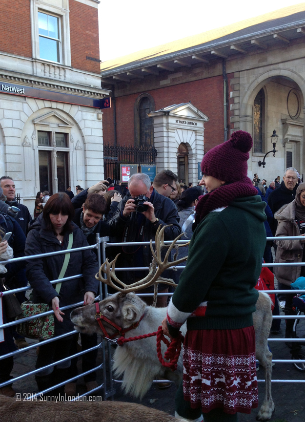 Things to Do in Covent Garden London, Pet the Reindeer!