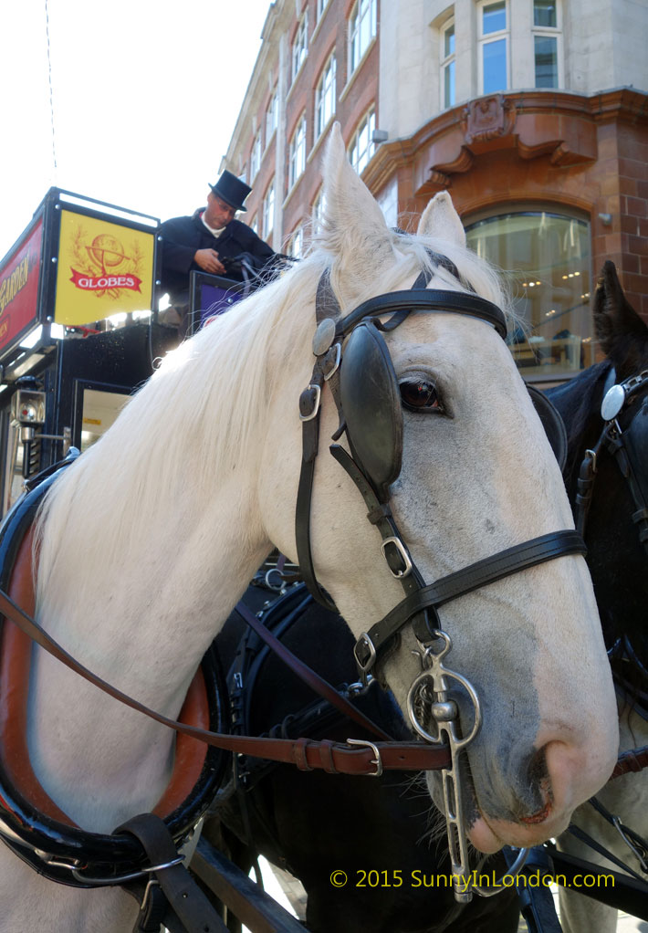 Stanfords Horse-Drawn Omnibus Tours in London