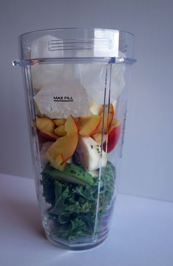 Nutribullet vs Ninja Bullet Blender Comparison