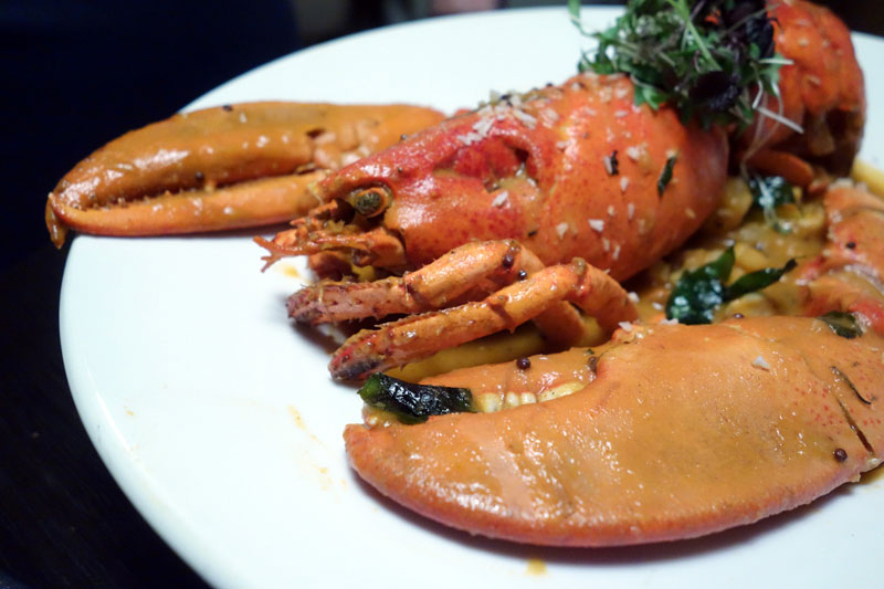 namaaste-kitchen-review-london-camden-town-christmas-menu-2016-lobster