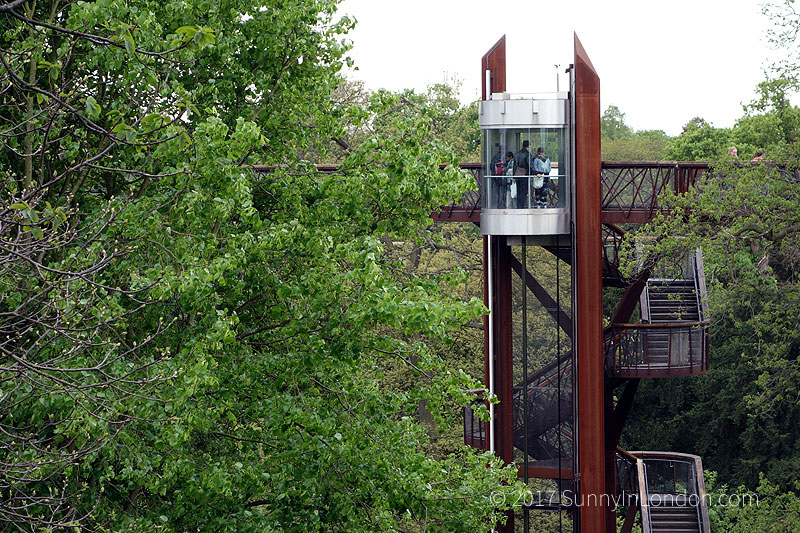 tips-visiting-kew-gardens-london-treetop-walkway