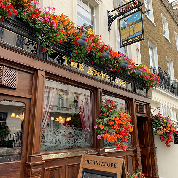 best-pubs-in-chelsea-kings-road-pub-crawl-london-antelope