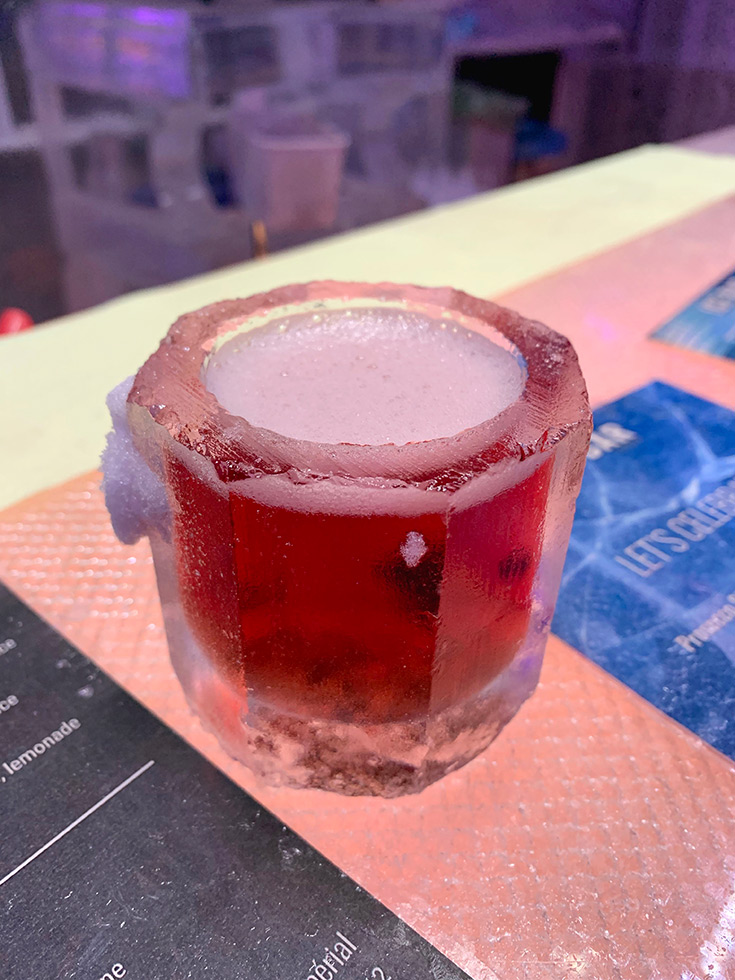 The Ice Bar London Review