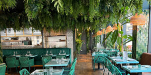 botannika-review-brasserie-high-barnet-london