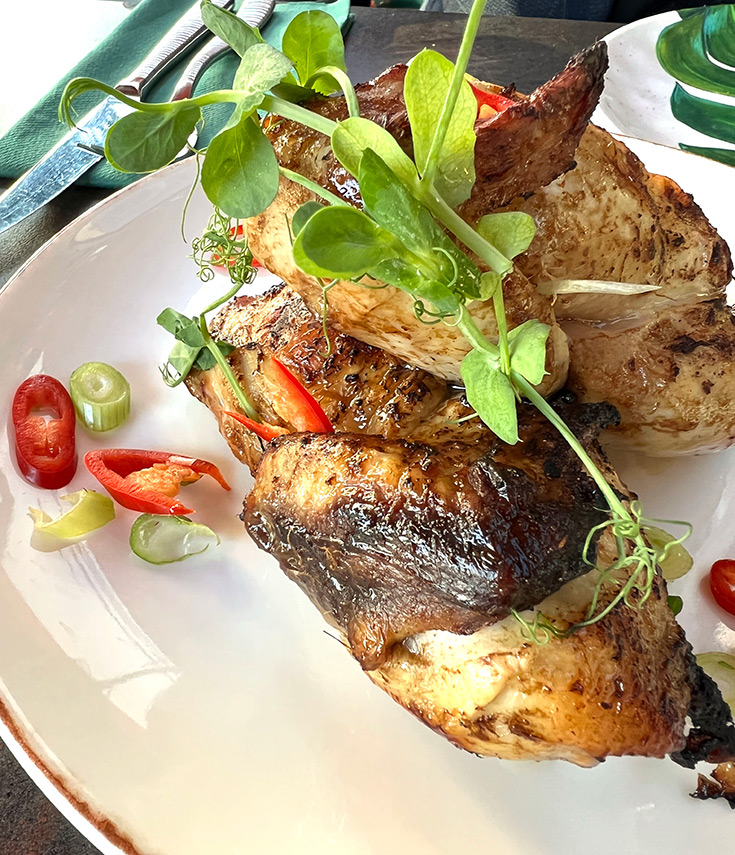 botannika-review-brasserie-high-barnet-london