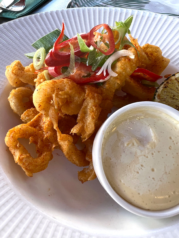 botannika-review-brasserie-high-barnet-london-calamars-frits