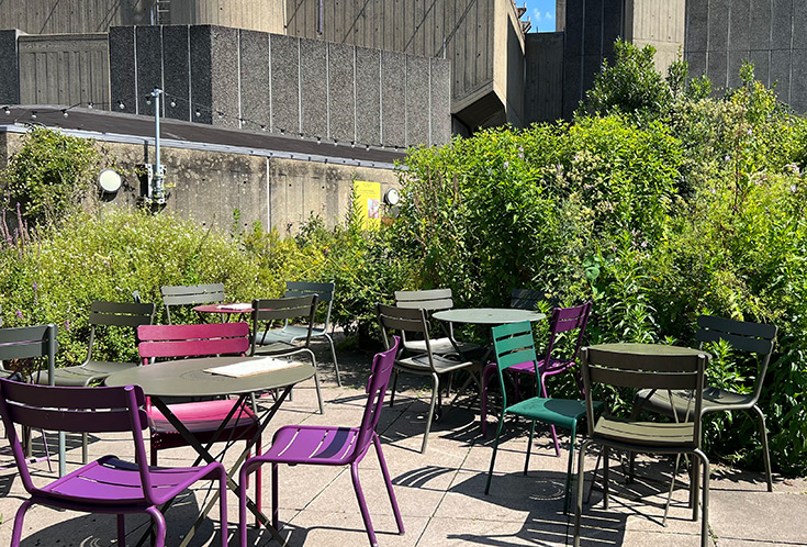 Queen Elizabeth Hall rooftop Garden