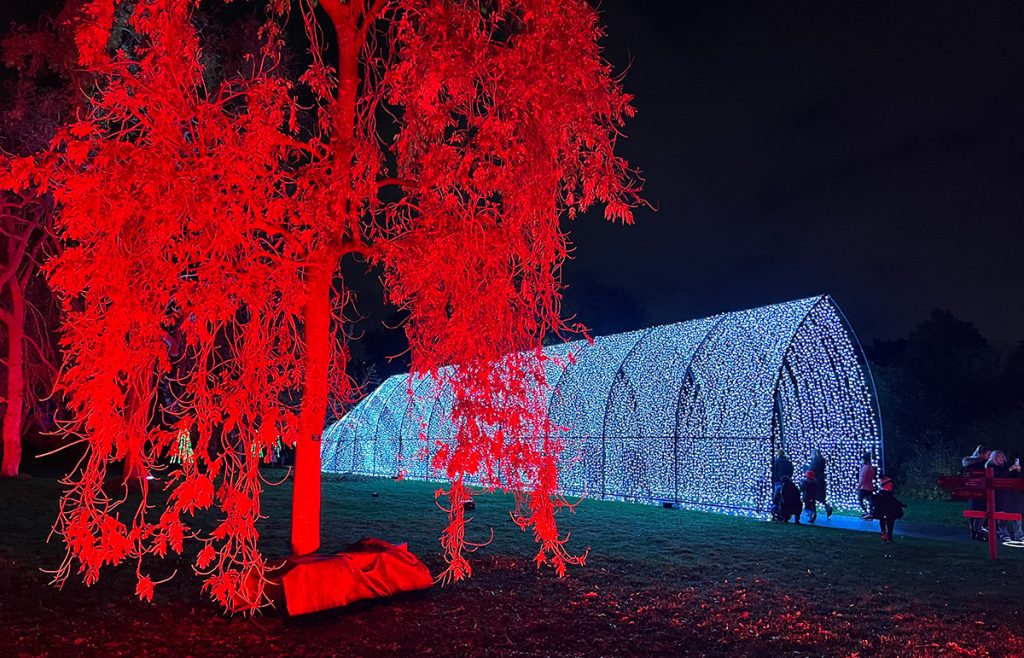 things-to-do-in-london-in-december-ultimate-guide-christmas-at-kew