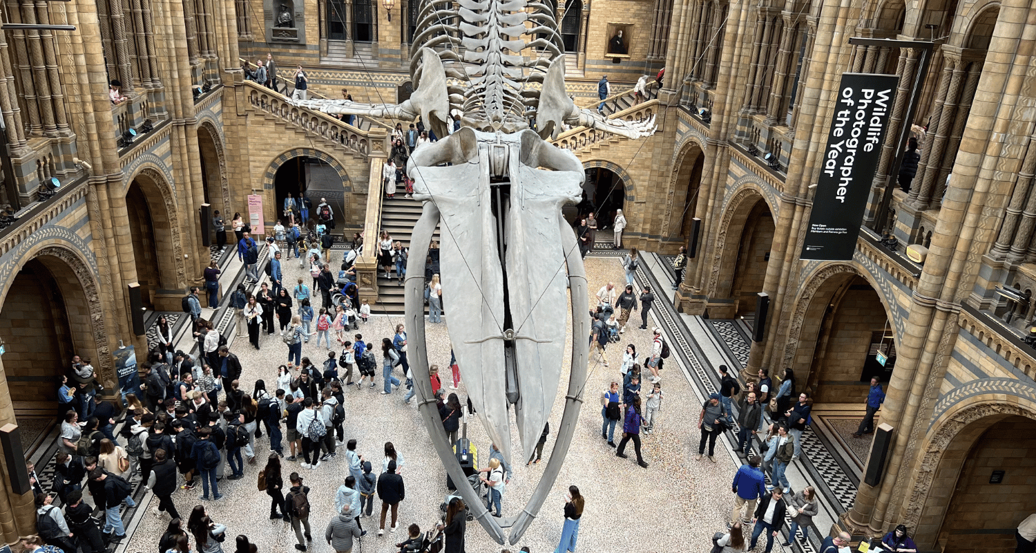 cool-things-to-do-in-london-sunnyinlondon-travel-planner
