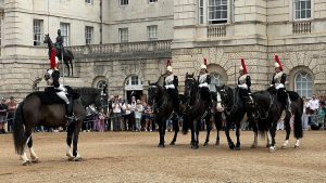 british-vs-american-cultural-differences-horseguards
