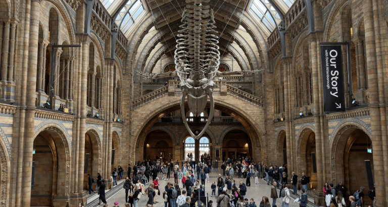 best-museums-in-london-sunny-in-london-natural-history-museum