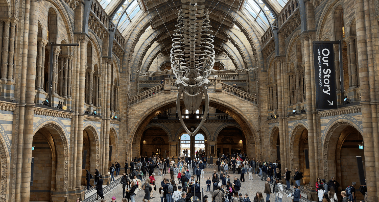 best-museums-in-london-sunny-in-london-natural-history-museum